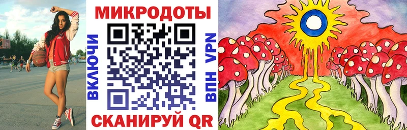 Псилоцибиновые грибы Cubensis  Нюрба 