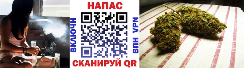 МАРИХУАНА сатива  купить наркоту  Нюрба 